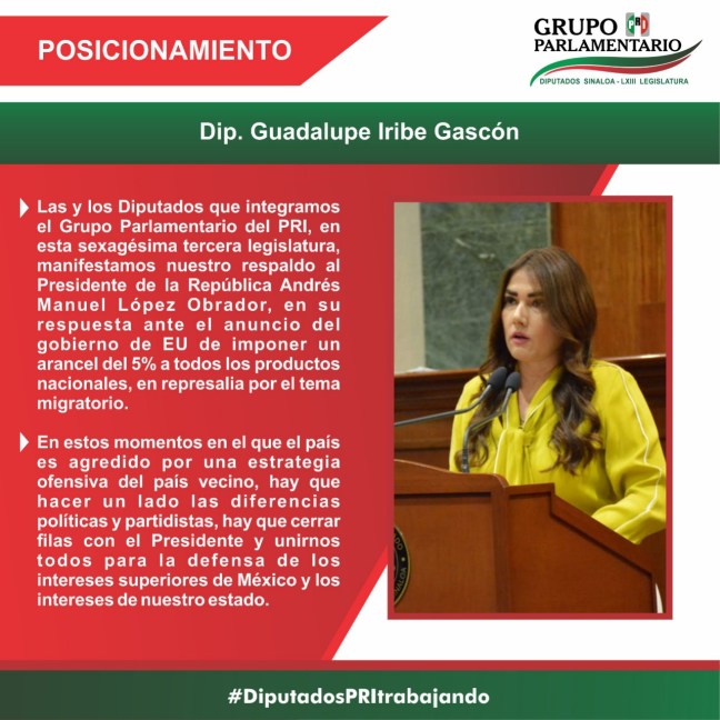 Posicionamiento Dip. Guadalupe Iribe