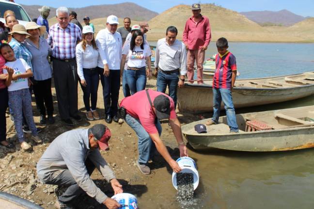 presa el comedero cosala 4