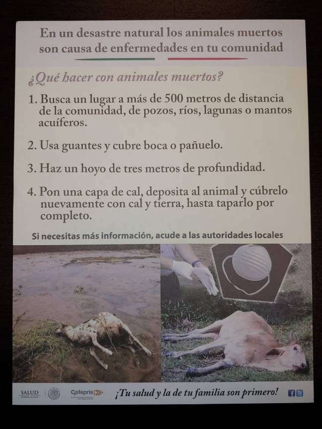 proteje la salud inundacion 4