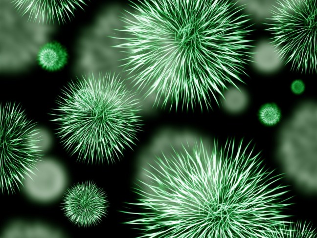 coepriss prevension sanitaria 2