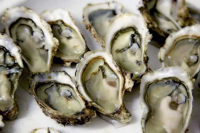 operativo en establecimientos de pescado 3