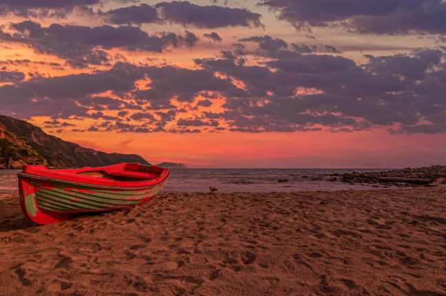 operativo en establecimientos de pescado 5