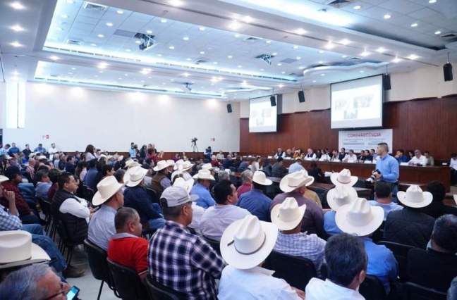 WhatsApp Image 2020-02-10 at 3.15.27 PM (2)