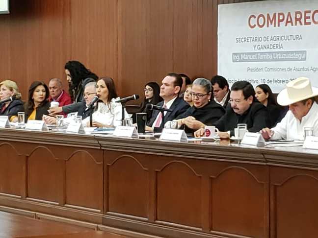 WhatsApp Image 2020-02-10 at 3.15.28 PM