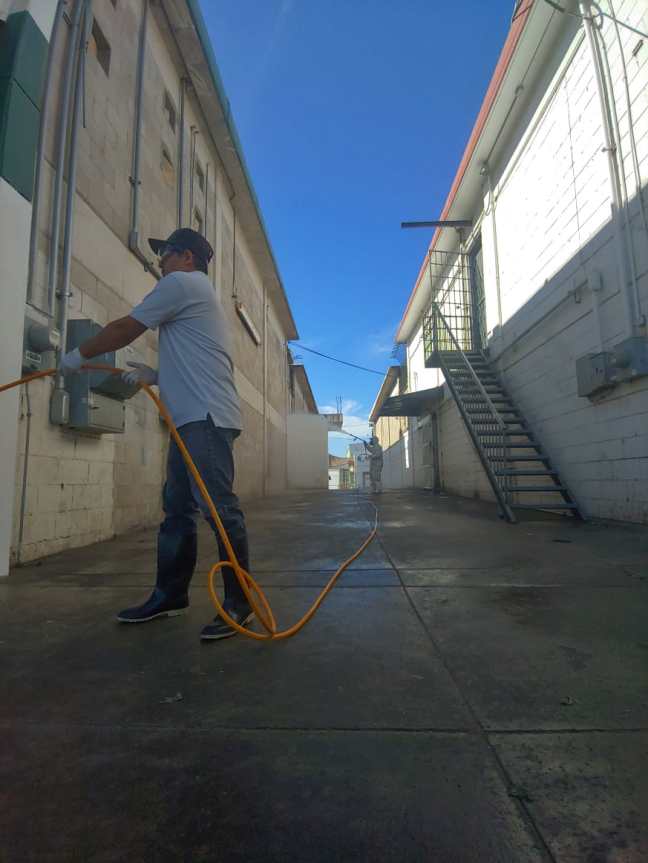 WhatsApp Image 2020-04-14 at 10.13.23 AM