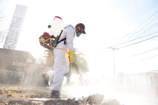 WhatsApp Image 2020-04-29 at 2.14.57 PM (3)