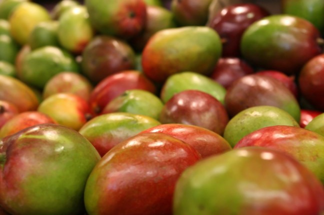 WhatsApp Image 2020-07-01 at 12.17.59 PM