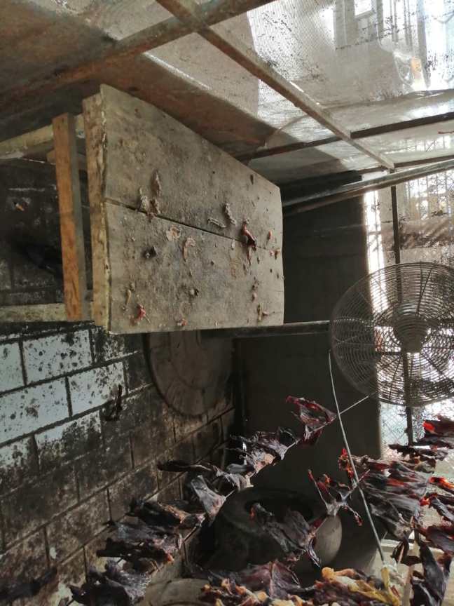 WhatsApp Image 2020-07-27 at 8.28.44 AM (1)