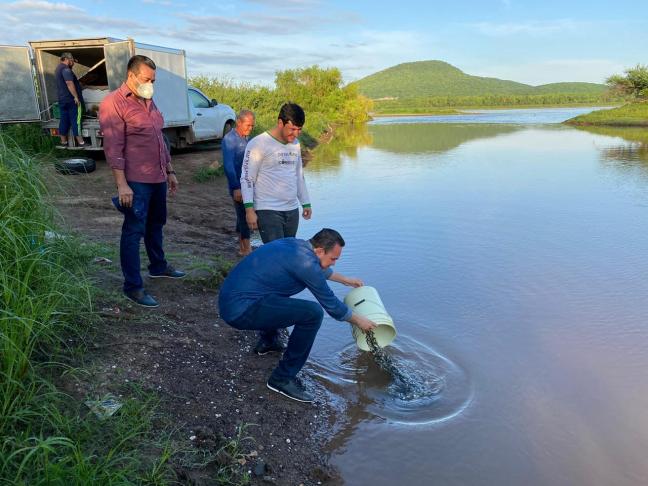 WhatsApp Image 2020-08-21 at 10.17.45 AM (1)